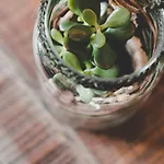 아파트 Loewenherz *