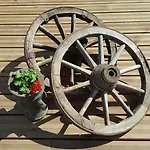 Loewenherz 시보덴