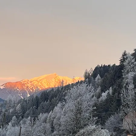 Loewenherz Seeboden