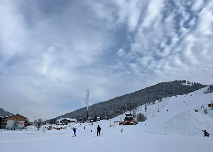 Loewenherz Apartament *